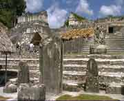Nrdliche Akropolis mit Stelen und Opferaltren. Nicht alle Stelen und Altarsteine waren in Tikal skulptiert sondern einfach nur glatt und ohne Stuckauflage. Vermutlich waren sie frher rot angemalt gewesen. Farbreste bei verschiedenen Stelen deuten darauf hin..